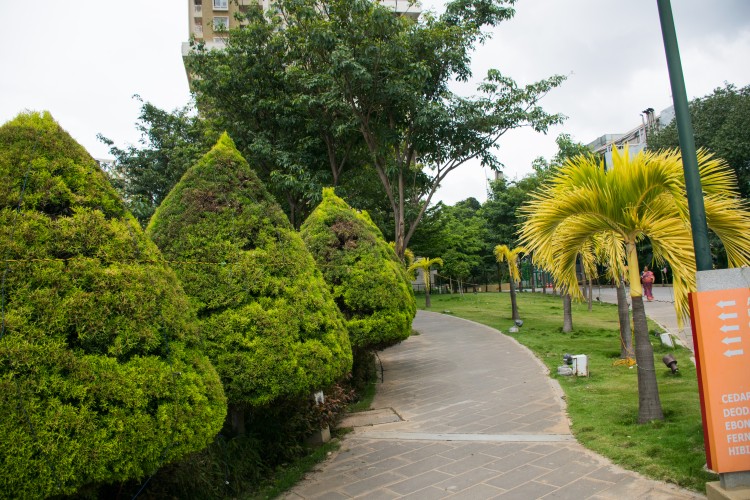 Name Transfer for Secondary Property Sales