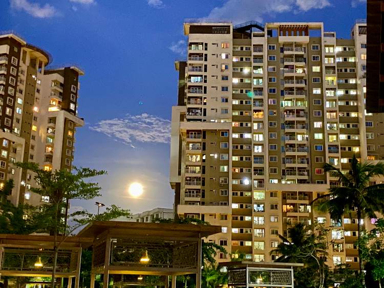 COVID Pre-Cautions, Testing and Home Isolation Procedures for Greenage