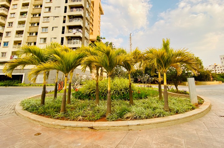 Dos and Donts for Commercial Areas