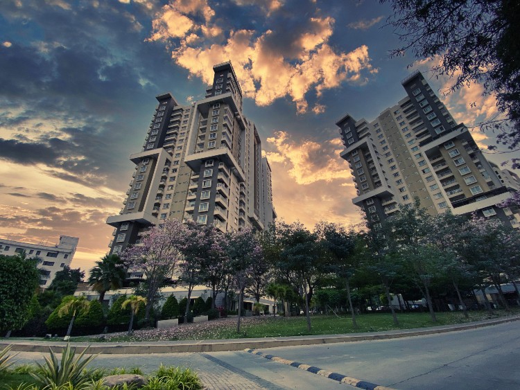 Photo 11 from Greenagepics