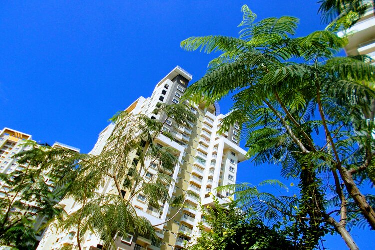 Photo 4 from Greenagepics