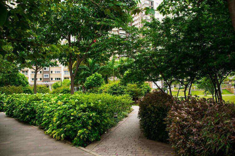 Photo 6 from Greenagepics