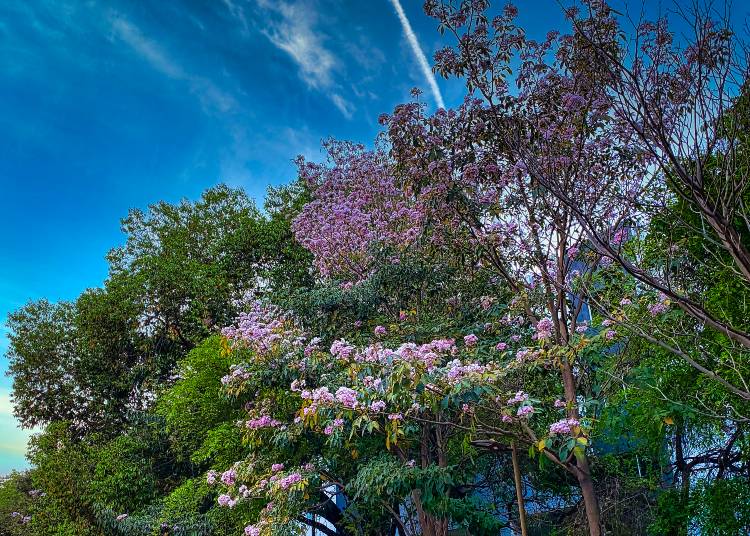 Newsletter - April 2022